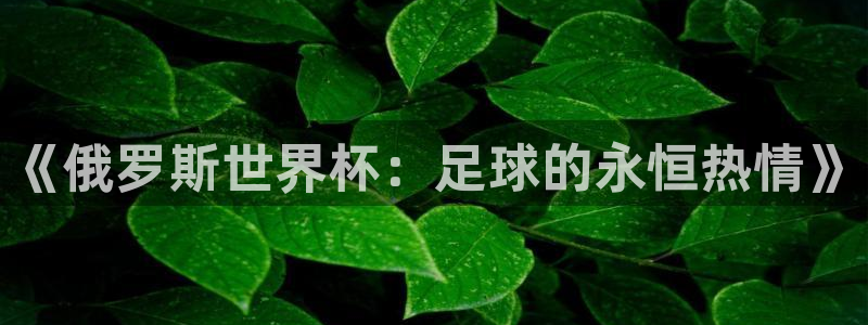 世界杯预选赛直播：《俄罗斯世界杯：足球的永恒热情》