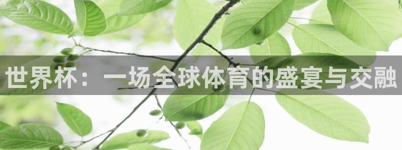 世界杯对阵表：世界杯：一场全球体育的盛宴与交融