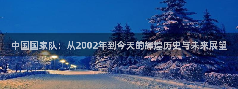 世界杯足球赛：中国国家队：从2002年到今天的辉煌历史与未来展望
