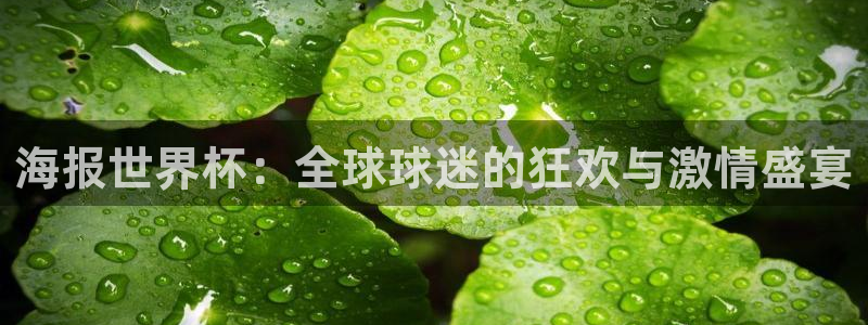 世界杯2026比赛时间表：海报世界杯：全球球迷的狂欢与激情盛宴