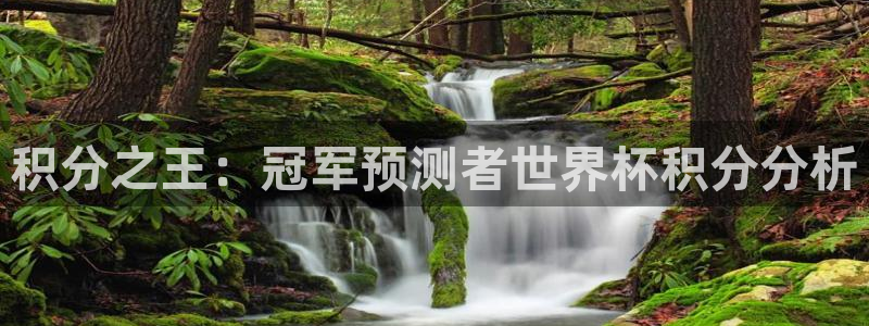 世界杯附加赛赛程表：积分之王：冠军预测者世界杯积分分析