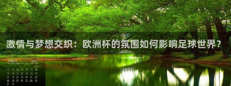 足球世界杯预选赛：激情与梦想交织：欧洲杯的氛围如何影响足球世界？