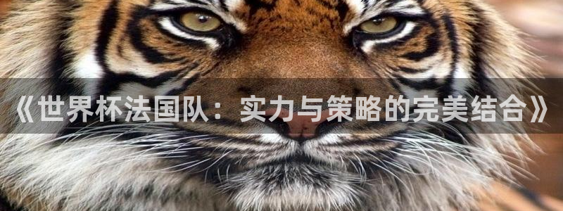 世界杯亚洲区预选赛：《世界杯法国队：实力与策略的完美结合》
