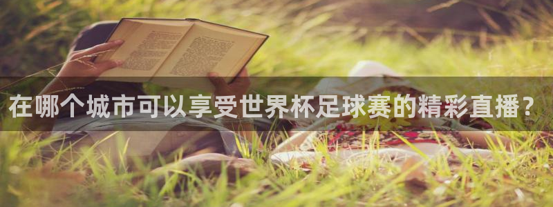 2026年世界杯对阵图：在哪个城市可以享受世界杯足球赛的精彩直播？