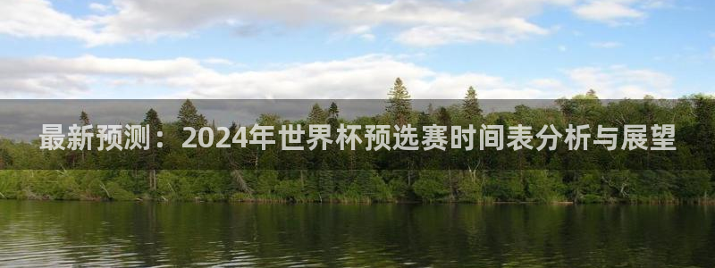 亚洲杯比赛直播：最新预测：2024年世界杯预选赛时间表分析与展望