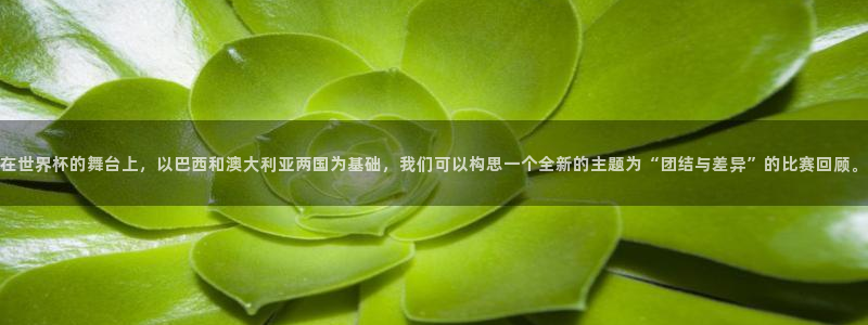 世界杯2026赛程时间表格：在世界杯的舞台上，以巴西和澳大利亚两国为基础，我们可以构思一个全新的主题为“团结与差异”的比赛回顾。