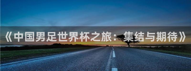 欧洲区世界杯预选赛：《中国男足世界杯之旅：集结与期待》