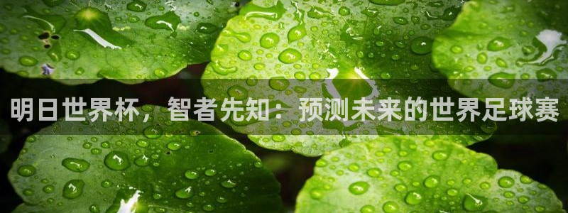 足球世界杯：明日世界杯，智者先知：预测未来的世界足球赛