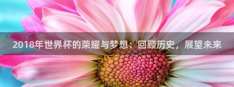 世界杯直播高清：2018年世界杯的荣耀与梦想：回顾历史，展望未来