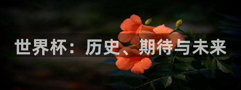 2026世界杯32强对阵图表：世界杯：历史、期待与未来