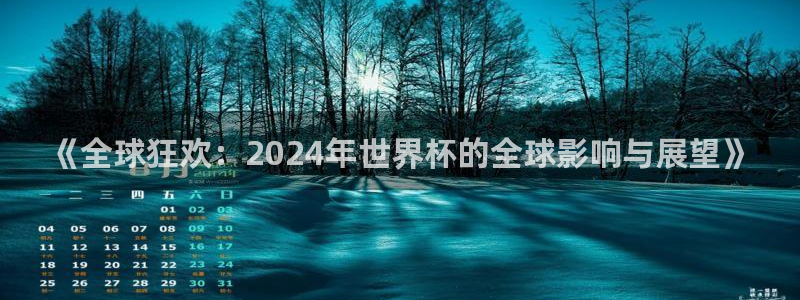 世界杯比赛直播：《全球狂欢：2024年世界杯的全球影响与展望》