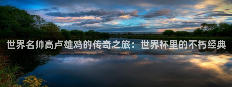 世界杯2026赛制：世界名帅高卢雄鸡的传奇之旅：世界杯里的不朽经典