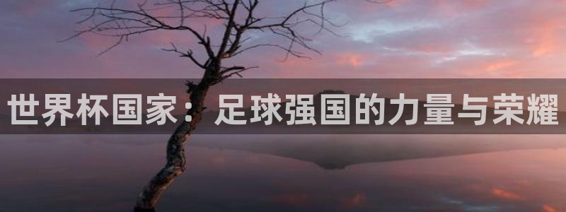 2026世界杯赛制：世界杯国家：足球强国的力量与荣耀