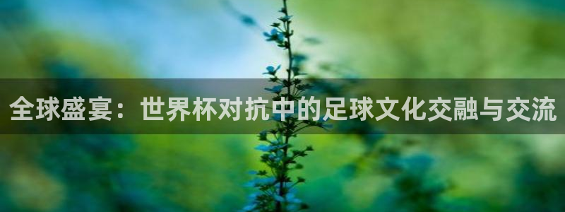 2026年世界杯直播平台：全球盛宴：世界杯对抗中的足球文化交融与交流